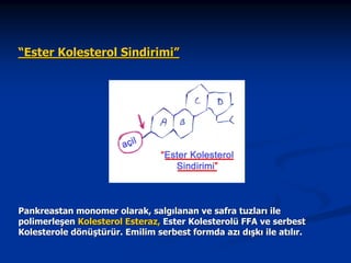 “Ester Kolesterol Sindirimi”

Pankreastan monomer olarak, salgılanan ve safra tuzları ile
polimerleşen Kolesterol Esteraz, Ester Kolesterolü FFA ve serbest
Kolesterole dönüştürür. Emilim serbest formda azı dışkı ile atılır.

 