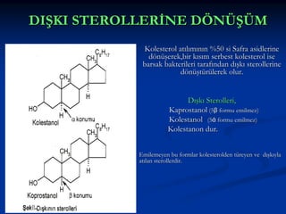 DIŞKI STEROLLERİNE DÖNÜŞÜM
Kolesterol atılımının %50 si Safra asidlerine
dönüşerek,bir kısım serbest kolesterol ise
barsak bakterileri tarafından dışkı sterollerine
dönüştürülerek olur.
Dışkı Sterolleri,
Kaprostanol (5β formu emilmez)
Kolestanol (5ά formu emilmez)
Kolestanon dur.
Emilemeyen bu formlar kolesterolden türeyen ve dışkıyla
atılan sterollerdir.

 