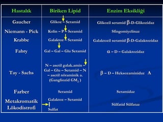 Hastalık

Biriken Lipid

Enzim Eksikliği

Gaucher

Glikoz – Seramid

Glikozil seramid β-D-Glikozidaz

Niemann - Pick

Kolin – P – Seramid

Sfingomiyelinaz

Krabbe

Galaktoz – Seramid

Galaktozil seramid β-D-Galaktozidaz

Fabry

Gal – Gal – Glu Seramid

α – D – Galaktozidaz

Tay - Sachs

N – asetil galak.amin –
Gal – Glu – Seramid – N
– asetil nöraminik a.
(Gangliozid GM2 )

β – D – Heksozaminidaz A

Farber

Seramid

Seramidaz

Metakromatik
Lökodistrofi

Galaktoz – Seramid
Sülfatid Sülfataz
Sulfat

 