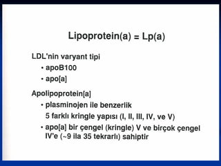 Lipid metabolizmasi