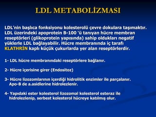 LDL METABOLİZMASI
LDL’nin başlıca fonksiyonu kolesterolü çevre dokulara taşımaktır.
LDL üzerindeki apoprotein B-100 ‘ü tanıyan hücre membran
reseptörleri (glikoprotein yapısında) sahip oldukları negatif
yüklerle LDL bağlayabilir. Hücre membranında iç tarafı
KLATHRİN kaplı küçük çukurlarda yer alan reseptörlerdir.
1- LDL hücre membranındaki reseptörlere bağlanır.
2- Hücre içerisine girer (Endositoz)
3- Hücre lizozomlarının içerdiği hidrolitik enzimler ile parçalanır.
Apo-B de a.asidlerine hidrolezlenir.
4- Yapıdaki ester kolesterol lizozomal kolesterol esteraz ile
hidrolezlenip, serbest kolesterol hücreye katılmış olur.

 