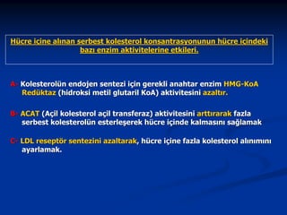 Hücre içine alınan serbest kolesterol konsantrasyonunun hücre içindeki
bazı enzim aktivitelerine etkileri.

A- Kolesterolün endojen sentezi için gerekli anahtar enzim HMG-KoA
Redüktaz (hidroksi metil glutaril KoA) aktivitesini azaltır.
B- ACAT (Açil kolesterol açil transferaz) aktivitesini arttırarak fazla
serbest kolesterolün esterleşerek hücre içinde kalmasını sağlamak
C- LDL reseptör sentezini azaltarak, hücre içine fazla kolesterol alınımını
ayarlamak.

 