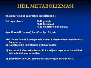 HDL METABOLİZMASI
Karaciğer ve ince bağırsakta sentezlenebilir.
Yaklaşık olarak,

%50 protein
%30 fosfolipid
%20 kolesterol’den oluşur.

Apo AI ve AII (en çok) Apo-C ve Apo E içerir.
HDL’nin en önemli fonksiyonu hücreleri kolesterolden temizlemektir.
Bu amaçla;
1) Kolesterol’ün hücrelerden atılımını sağlar
2) Perifer dokulardaki kolesterolü karaciğere taşır ve safra asidleri
şeklinde atılımlarını sağlar.
3) Şilomikron ve VLDL yıkımı sırasında oluşan artıkları taşır.

 