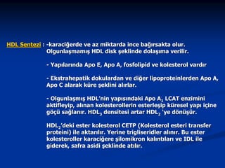HDL Sentezi : -karaciğerde ve az miktarda ince bağırsakta olur.
Olgunlaşmamış HDL disk şeklinde dolaşıma verilir.
- Yapılarında Apo E, Apo A, fosfolipid ve kolesterol vardır
- Ekstrahepatik dokulardan ve diğer lipoproteinlerden Apo A,
Apo C alarak küre şeklini alırlar.
- Olgunlaşmış HDL’nin yapısındaki Apo A1 LCAT enzimini
aktifleyip, alınan kolesterollerin esterleşip küresel yapı içine
göçü sağlanır. HDL3 densitesi artar HDL2 ‘ye dönüşür.
HDL2’deki ester kolesterol CETP (Kolesterol esteri transfer
proteini) ile aktarılır. Yerine trigliseridler alınır. Bu ester
kolesteroller karaciğere şilomikron kalıntıları ve IDL ile
giderek, safra asidi şeklinde atılır.

 