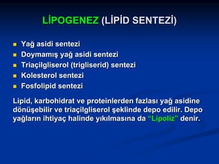 LİPOGENEZ (LİPİD SENTEZİ)
Yağ asidi sentezi
Doymamış yağ asidi sentezi
Triaçilgliserol (trigliserid) sentezi
Kolesterol sentezi
Fosfolipid sentezi
Lipid, karbohidrat ve proteinlerden fazlası yağ asidine
dönüşebilir ve triaçilgliserol şeklinde depo edilir. Depo
yağların ihtiyaç halinde yıkılmasına da “Lipoliz” denir.

 