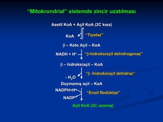 “Mitokrondrial” sistemde zincir uzatılması
Asetil KoA + Açil KoA (2C kısa)
KoA

“Tiyolaz”

β – Keto Açil – KoA
NADH + H+

“β-hidroksiaçil dehidrogenaz”

β – hidroksiaçil – KoA
- H2O

“β -hidroksiaçil dehidraz”

Doymamış açil – KoA
NADPH+H+

“Enoil Redüktaz”

NADP+
Açil KoA (2C uzamış)

 