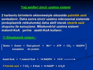 Yağ asidleri zincir uzatma sistemi
2 karbonlu birimlerin eklenmesiyle sitozolde palmitik asid
sentezlenir. Daha sonra zincir uzatma mikrozomal sistemde
(endoplazmik retikulumda) daha aktif olarak stearik asid
oluşumu ile sonuçlanır. Mitokondrial uzatma sistemi
malonil-KoA yerine asetil-KoA kullanır.
1) Sitoplazmik sistem :
Biotin + Enzim + Özel görevli
kompleksi
bir protein

+

Mn++ + ATP + CO2 + NADPH

Asetil KoA + 7 malonil KoA + 14 NADPH + 14 H+
1 Palmitik asid + 7 CO2 + 8 KoA + 14 NADP+ + 6 H2O

 