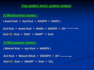 Yağ asidleri zincir uzatma sistemi
2) Mitokondrial sistem :
( Asetil KoA + Açil KoA + NADPH + NADH )
Acil KoA + Asetil KoA + NADH + NADPH + 2H+
Acil+2C KoA + NAD+ + NADP+ + KoA

3) Mikrozomal sistem :
( Malonil KoA + Açil KoA + NADPH )
Acil KoA + Malonil SKoA + 2NADPH + 2H+
Acil+2C KoA + 2NADP+ + KoA + CO2

 