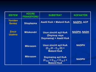 SİSTEM
Yeniden
Sentez
Zincir
Uzatma

HÜCRE
FRAKSİYONU

SUBSTRAT

KOFAKTÖR

Asetil KoA + Malonil KoA

NADPH, ACP

Mitokondri

Uzun zincirli açil KoA
(Doymuş veya
Doymamış) + Asetil KoA

NADPH, NADH

Mikrozom

Uzun zincirli açil KoA
(C10:O – C16:O) +
Malonil KoA

NADPH

Mikrozom

Doymamış açil KoA
(C18:3 > C18:2 > C18:1) +
Malonil KoA

Sitoplazma

NADPH

 