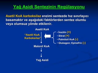Yağ Asidi Sentezinin Regülasyonu
Asetil KoA karboksilaz enzimi sentezde hız sınırlayıcı
basamaktır ve aşağıdaki faktörlerden sentez olumlu
veya olumsuz yönde etkilenir.
Asetil KoA
“Asetil KoA
Karboksilaz”
Malonil KoA

Yağ Asidi

• İnsülin (+)
• Sitrat (+)
• Palmitoil KoA (-)
• Glukagon; Epinefrin (-)

 