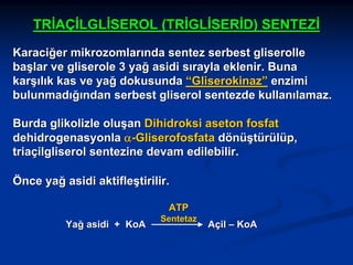 TRİAÇİLGLİSEROL (TRİGLİSERİD) SENTEZİ
Karaciğer mikrozomlarında sentez serbest gliserolle
başlar ve gliserole 3 yağ asidi sırayla eklenir. Buna
karşılık kas ve yağ dokusunda “Gliserokinaz” enzimi
bulunmadığından serbest gliserol sentezde kullanılamaz.
Burda glikolizle oluşan Dihidroksi aseton fosfat
dehidrogenasyonla α-Gliserofosfata dönüştürülüp,
triaçilgliserol sentezine devam edilebilir.
Önce yağ asidi aktifleştirilir.
ATP
Yağ asidi + KoA

Sentetaz

Açil – KoA

 