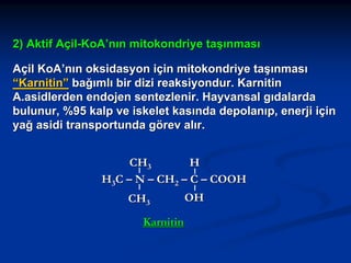 2) Aktif Açil-KoA’nın mitokondriye taşınması
Açil KoA’nın oksidasyon için mitokondriye taşınması
“Karnitin” bağımlı bir dizi reaksiyondur. Karnitin
A.asidlerden endojen sentezlenir. Hayvansal gıdalarda
bulunur, %95 kalp ve iskelet kasında depolanıp, enerji için
yağ asidi transportunda görev alır.
CH3
H
H3C – N – CH2 – C – COOH
CH3
Karnitin

OH

 