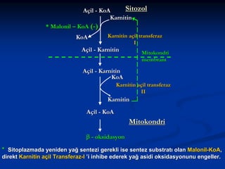Sitozol
Açil - KoA
Karnitin
* Malonil – KoA (-)
KoA

Karnitin açil transferaz
I

Açil - Karnitin

Mitokondri
membranı

Açil - Karnitin
KoA
Karnitin açil transferaz
II

Karnitin
Açil - KoA

Mitokondri
β - oksidasyon
* Sitoplazmada yeniden yağ sentezi gerekli ise sentez substratı olan Malonil-KoA,
direkt Karnitin açil Transferaz-I ’i inhibe ederek yağ asidi oksidasyonunu engeller.

 