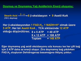 Doymuş ve Doymamış Yağ Asidlerinin Enerji oluşumu;
Stearik Asid
(18 C, doymuş)

β - ox

8 β-oksidasyon + 9 Asetil KoA

Her β-oksidasyondan 1 FAD.H2, 1 NADH+H⊕ olmak üzere
5 ATP. Her bir Asetil KoA , TCA siklüsünde 12 ATP
olduğu düşünülürse; 8 x 5 ATP = 40 ATP
9 x 12 ATP = 108 ATP
Toplam
= 148 ATP
Eğer doymamış yağ asidi oksidasyonu söz konusu ise her çift bağ
için 2 ATP daha az enerji oluşur. Zira doymamış bağ yıkılırken
FAD.H2 oluşturan Dehidrogenaz basamağına ihtiyaç yoktur.

 