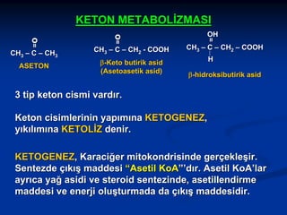 CH3 – C – CH3
ASETON

CH3 – C – CH2 - COOH
β-Keto butirik asid
(Asetoasetik asid)

OH

=

=o

=o

KETON METABOLİZMASI
CH3 – C – CH2 – COOH
H
β-hidroksibutirik asid

3 tip keton cismi vardır.
Keton cisimlerinin yapımına KETOGENEZ,
yıkılımına KETOLİZ denir.
KETOGENEZ, Karaciğer mitokondrisinde gerçekleşir.
Sentezde çıkış maddesi “Asetil KoA”’dır. Asetil KoA’lar
ayrıca yağ asidi ve steroid sentezinde, asetillendirme
maddesi ve enerji oluşturmada da çıkış maddesidir.

 