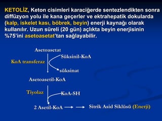 KETOLİZ, Keton cisimleri karaciğerde sentezlendikten sonra
diffüzyon yolu ile kana geçerler ve ektrahepatik dokularda
(kalp, iskelet kası, böbrek, beyin) enerji kaynağı olarak
kullanılır. Uzun süreli (20 gün) açlıkta beyin enerjisinin
%75’ini asetoasetat’tan sağlayabilir.
Asetoasetat
Süksinil-KoA
KoA transferaz
süksinat
Asetoasetil-KoA
Tiyolaz

KoA-SH

2 Asetil-KoA

Sitrik Asid Siklüsü (Enerji)

 