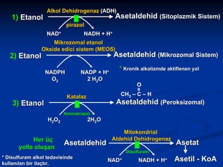 1) Etanol

Alkol Dehidrogenaz (ADH)

Asetaldehid (Sitoplazmik Sistem)

pirazol
NADH + H+

NAD+

Mikrozomal etanol
Okside edici sistem (MEOS)

Asetaldehid (Mikrozomal Sistem)

2) Etanol

NADP + H+
2 H2O

* Kronik alkolizmde aktiflenen yol
O

=

NADPH
O2

CH3 – C – H

Katalaz

3) Etanol

Asetaldehid (Peroksizomal)

Aminotriazol

H2O2

Her üç
yolla oluşan

2H2O

Asetaldehid

* Disulfuram alkol tedavisinde
kullanılan bir ilaçtır.

Mitokondrial
Aldehid Dehidrogenaz

Asetat

Disulfuram

NAD+

NADH + H+

Asetil - KoA

 