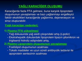YAĞLI KARACİĞER OLUŞUMU
Karaciğerde fazla FFA gelmesi, buna karşılık lipoprotein
oluşumunun yavaşlaması ve bazı yağlanmayı engelleyici
faktör eksiklikleri karaciğerde yağlanma, dejenerasyon ve
siroz oluşturabilir.
Yağlı karaciğer nedenleri;
1) Plazma FFA yükselmesi
- Yağ dokusunda yağ asidi çıkışındaki artış (Lipoliz)
- Ekstrahepatik dokulardaki lipoprotein lipazın şilomikron ve
trigliserid hidroliz edişindeki artış.
2) Plazma Lipoprotein oluşumunun yavaşlaması
- Fosfolipid oluşumunun azalması
- Toksik maddeler ve uzun süreli antibiyotik tedavisi ile
apoprotein sentezinin azalması

 