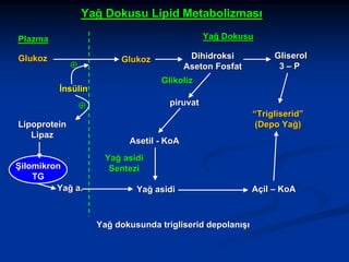 Yağ Dokusu Lipid Metabolizması
Yağ Dokusu

Plazma
Glukoz

Dihidroksi
Aseton Fosfat

Glukoz

⊕

Glikoliz

İnsülin

piruvat

⊕
Lipoprotein
Lipaz
Şilomikron
TG
Yağ a.

Gliserol
3–P

“Trigliserid”
(Depo Yağ)
Asetil - KoA
Yağ asidi
Sentezi
Yağ asidi

Yağ dokusunda trigliserid depolanışı

Açil – KoA

 