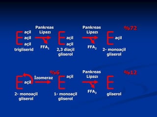açil
açil

Pankreas
Lipazı
açil

açil
trigliserid

açil
2,3 diaçil
gliserol

FFA1

%6

açil

İzomeraz

2- monoaçil
gliserol

%72

Pankreas
Lipazı

açil

1- monoaçil
gliserol

açil
FFA2

2- monoaçil
gliserol

%12

Pankreas
Lipazı

FFA3

gliserol

 