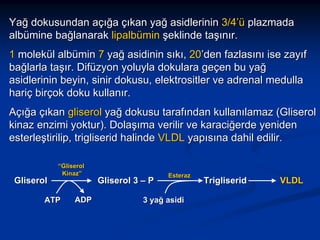 Yağ dokusundan açığa çıkan yağ asidlerinin 3/4’ü plazmada
albümine bağlanarak lipalbümin şeklinde taşınır.
1 molekül albümin 7 yağ asidinin sıkı, 20’den fazlasını ise zayıf
bağlarla taşır. Difüzyon yoluyla dokulara geçen bu yağ
asidlerinin beyin, sinir dokusu, elektrositler ve adrenal medulla
hariç birçok doku kullanır.
Açığa çıkan gliserol yağ dokusu tarafından kullanılamaz (Gliserol
kinaz enzimi yoktur). Dolaşıma verilir ve karaciğerde yeniden
esterleştirilip, trigliserid halinde VLDL yapısına dahil edilir.

Gliserol

“Gliserol
Kinaz”

ATP

ADP

Gliserol 3 – P

Esteraz

3 yağ asidi

Trigliserid

VLDL

 