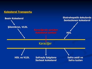 Kolesterol Transportu
Ekstrahepatik dokularda
Sentezlenen kolesterol

Besin Kolesterol
Şilomikron, VLDL
Karaciğerde yeniden
Kolesterol sentezi

HDL

Karaciğer

HDL ve VLDL

Safrayla Salgılana
Serbest kolesterol

Safra asidi ve
Safra tuzları

 