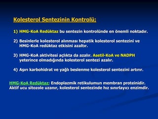 Kolesterol Sentezinin Kontrolü;
1) HMG-KoA Redüktaz bu sentezin kontrolünde en önemli noktadır.
2) Besinlerle kolesterol alınması hepatik kolesterol sentezini ve
HMG-KoA redüktaz etkisini azaltır.
3) HMG-KoA aktivitesi açlıkta da azalır. Asetil-KoA ve NADPH
yeterince olmadığında kolesterol sentezi azalır.
4) Aşırı karbohidrat ve yağlı beslenme kolesterol sentezini artırır.
HMG-KoA Redüktaz; Endoplazmik retikulumun membran proteinidir.
Aktif ucu sitozole uzanır, kolesterol sentezinde hız sınırlayıcı enzimdir.

 