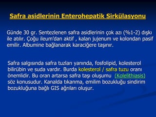 Safra asidlerinin Enterohepatik Sirkülasyonu
Günde 30 gr. Sentezlenen safra asidlerinin çok azı (%1-2) dışkı
ile atılır. Çoğu ileum’dan aktif , kalan jujenum ve kolondan pasif
emilir. Albumine bağlanarak karaciğere taşınır.
Safra salgısında safra tuzları yanında, fosfolipid, kolesterol
bilirübin ve suda vardır. Burda kolesterol / safra tuzu oranı
önemlidir. Bu oran artarsa safra taşı oluşumu (Kolelithiasis)
söz konusudur. Kanalda tıkanma, emilim bozukluğu sindirim
bozukluğuna bağlı GIS ağrıları oluşur.

 