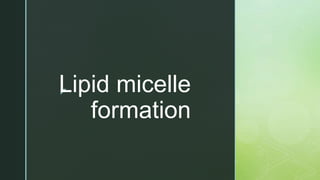 z
Lipid micelle
formation
 