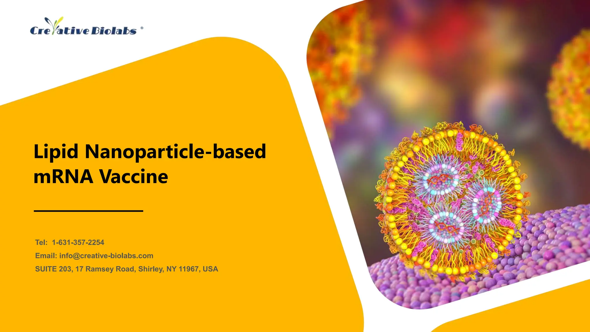 Lipid Nanoparticle-based mRNA Vaccine Creative Biolabs.pptx
