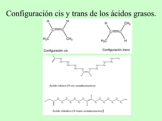 Configuración cis y trans de los ácidos grasos.
 