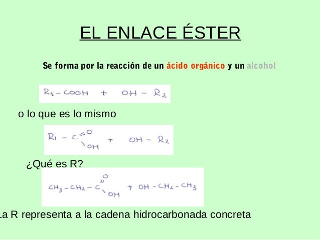 Lípidos