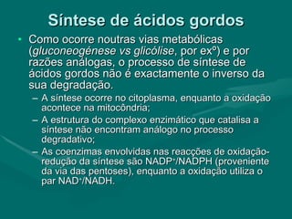 Síntese de ácidos gordos Como ocorre noutras vias metabólicas ( gluconeogénese vs glicólise , por exº) e por razões análogas, o processo de síntese de ácidos gordos não é exactamente o inverso da sua degradação. A síntese ocorre no citoplasma, enquanto a oxidação acontece na mitocôndria; A estrutura do complexo enzimático que catalisa a síntese não encontram análogo no processo degradativo; As coenzimas envolvidas nas reacções de oxidação-redução da síntese são NADP + /NADPH (proveniente da via das pentoses), enquanto a oxidação utiliza o par NAD + /NADH. 