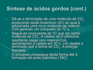 Síntese de ácidos gordos (cont.) Dá-se a eliminação de uma molécula de CO 2  produzindo ácido butanóico (4C) ao qual é adicionada uma nova molécula de malonil-CoA gerando um composto de 7C’s. Segue-se nova perda de 1C que sai numa molécula de CO 2 . A cadeia de 6 carbonos resultante reage com malonil-CoA, aumentando a cadeia em 3C’s. Um destes é eliminado sob a forma de CO 2 . A energia libertada  O processo prossegue desta forma até à formação do ácido palmítico (16C) 