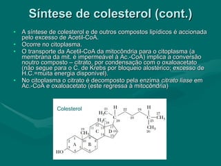 Síntese de colesterol (cont.) A síntese de colesterol e de outros compostos lipídicos é accionada pelo excesso de Acetil-CoA. Ocorre no citoplasma. O transporte da Acetil-CoA da mitocôndria para o citoplasma (a membrana da mit. é impermeável à Ac.-CoA) implica a conversão noutro composto – citrato, por condensação com o oxaloacetato (não segue para o C. de Krebs por bloqueio alostérico; excesso de H.C.=muita energia disponível). No citoplasma o citrato é decomposto pela enzima  citrato liase  em Ac.-CoA e oxaloacetato (este regressa à mitocôndria) Colesterol 