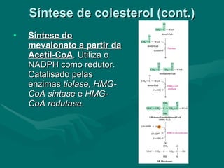 Síntese de colesterol (cont.) Síntese do mevalonato a partir da Acetil-CoA . Utiliza o NADPH como redutor. Catalisado pelas enzimas  tiolase, HMG-CoA sintase  e  HMG-CoA redutase . 