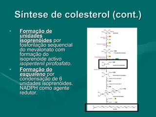 Síntese de colesterol (cont.) Formação de unidades isoprenóides  por fosforilação sequencial do mevalonato com formação do isoprenóide activo  isopentenil pirofosfato . Formação do  esqualeno  por condensação de 6 unidades isoprenóides. NADPH como agente redutor. 