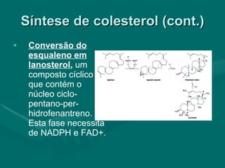 Síntese de colesterol (cont.) Conversão do esqualeno em lanosterol ,  um composto cíclico que contém o núcleo ciclo-pentano-per-hidrofenantreno. Esta fase necessita de NADPH e FAD+. 