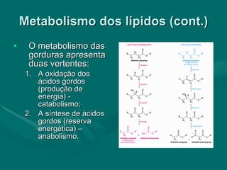 Metabolismo dos lípidos (cont.) O metabolismo das gorduras apresenta duas vertentes: A oxidação dos ácidos gordos (produção de energia) - catabolismo; A síntese de ácidos gordos (reserva energética) – anabolismo. 