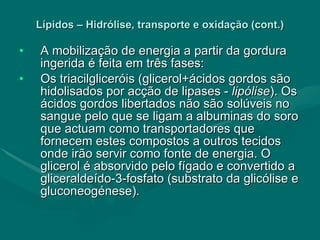 Lípidos – Hidrólise, transporte e oxidação (cont.) A mobilização de energia a partir da gordura ingerida é feita em três fases: Os triacilgliceróis (glicerol+ácidos gordos são hidolisados por acção de lipases -  lipólise ). Os ácidos gordos libertados não são solúveis no sangue pelo que se ligam a albuminas do soro que actuam como transportadores que fornecem estes compostos a outros tecidos onde irão servir como fonte de energia. O glicerol é absorvido pelo fígado e convertido a gliceraldeído-3-fosfato (substrato da glicólise e gluconeogénese). 