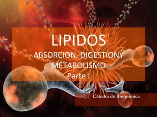 LIPIDOS
ABSORCION, DIGESTIONY
METABOLISMO
Parte I
Cátedra de Bioquímica
 