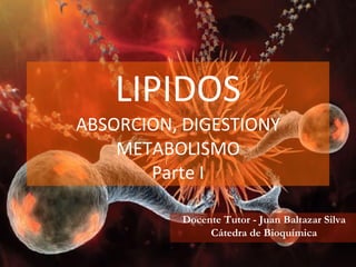 LIPIDOS ABSORCION, DIGESTIONY METABOLISMO Parte I Docente Tutor - Juan Baltazar Silva Cátedra de Bioquímica 