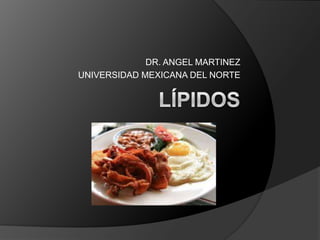DR. ANGEL MARTINEZ,[object Object],UNIVERSIDAD MEXICANA DEL NORTE,[object Object],Lípidos ,[object Object]