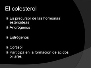 El colesterol,[object Object],Es precursor de las hormonas esteroideas,[object Object],Andrógenos ,[object Object],Estrógenos,[object Object],Cortisol ,[object Object],Participa en la formación de ácidos biliares,[object Object]