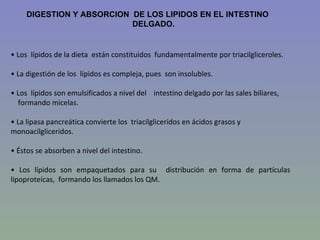 DIGESTION Y ABSORCION DE LOS LIPIDOS EN EL INTESTINO
                           DELGADO.


• Los lípidos de la dieta están constituidos fundamentalmente por triacilgliceroles.

• La digestión de los lípidos es compleja, pues son insolubles.

• Los lípidos son emulsificados a nivel del intestino delgado por las sales biliares,
  formando micelas.

• La lipasa pancreática convierte los triacilgliceridos en ácidos grasos y
monoacilgliceridos.

• Éstos se absorben a nivel del intestino.

• Los lípidos son empaquetados para su distribución en forma de partículas
lipoproteícas, formando los llamados los QM.
 