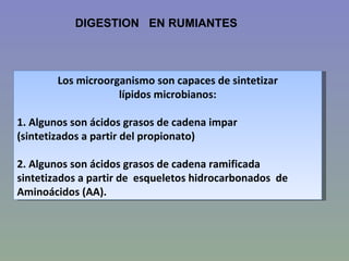 DIGESTION EN RUMIANTES



        Los microorganismo son capaces de sintetizar
                    lípidos microbianos:

1. Algunos son ácidos grasos de cadena impar
(sintetizados a partir del propionato)

2. Algunos son ácidos grasos de cadena ramificada
sintetizados a partir de esqueletos hidrocarbonados de
Aminoácidos (AA).
 