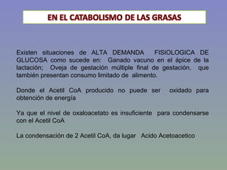 Existen situaciones de ALTA DEMANDA           FISIOLOGICA DE
GLUCOSA como sucede en: Ganado vacuno en el ápice de la
lactación; Oveja de gestación múltiple final de gestación, que
también presentan consumo limitado de alimento.

Donde el Acetil CoA producido no puede ser         oxidado para
obtención de energía

Ya que el nivel de oxaloacetato es insuficiente para condensarse
con el Acetil CoA

La condensación de 2 Acetil CoA, da lugar Acido Acetoacetico
 