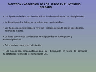 DIGESTION Y ABSORCION DE LOS LIPIDOS EN EL INTESTINO
                           DELGADO.


• Los lípidos de la dieta están...