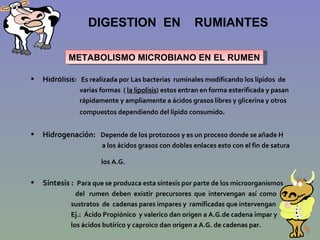 DIGESTION EN RUMIANTES

             Ubicación: : RUMEN

   Las lipasas microbianas hidrolizan a LOS LIPIDOS  se liberan
A...