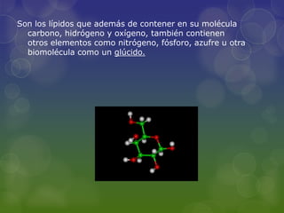 Son los lípidos que además de contener en su molécula
  carbono, hidrógeno y oxígeno, también contienen
  otros elementos como nitrógeno, fósforo, azufre u otra
  biomolécula como un glúcido.
 